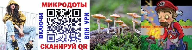 Купить  Зея  Псилоцибиновые грибы Psilocybe 